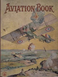 Cover of Aviation Book — Themes and Context